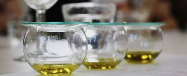Clear olive oil tasting cups with glass watch and oil